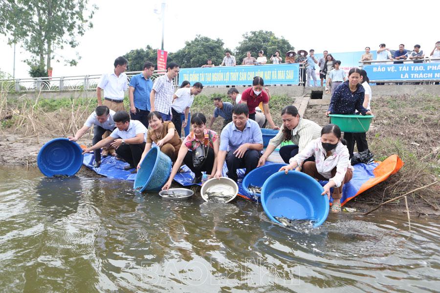 Thả 15 nghìn con cá giống tái tạo nguồn lợi thủy sản