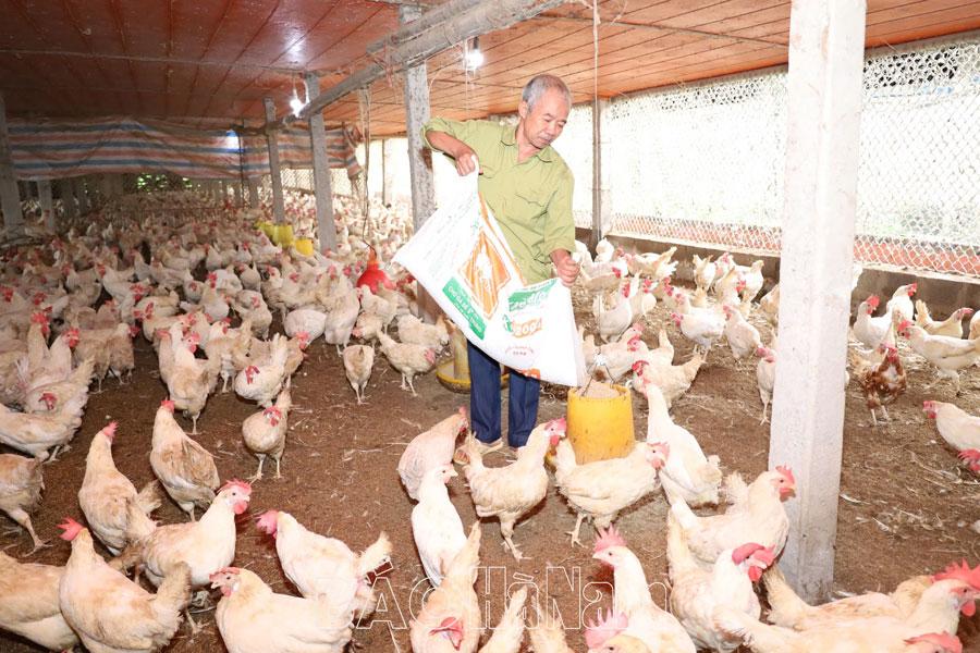 Phong trào thi đua “Cựu chiến binh gương mẫu” ở Trịnh Xá