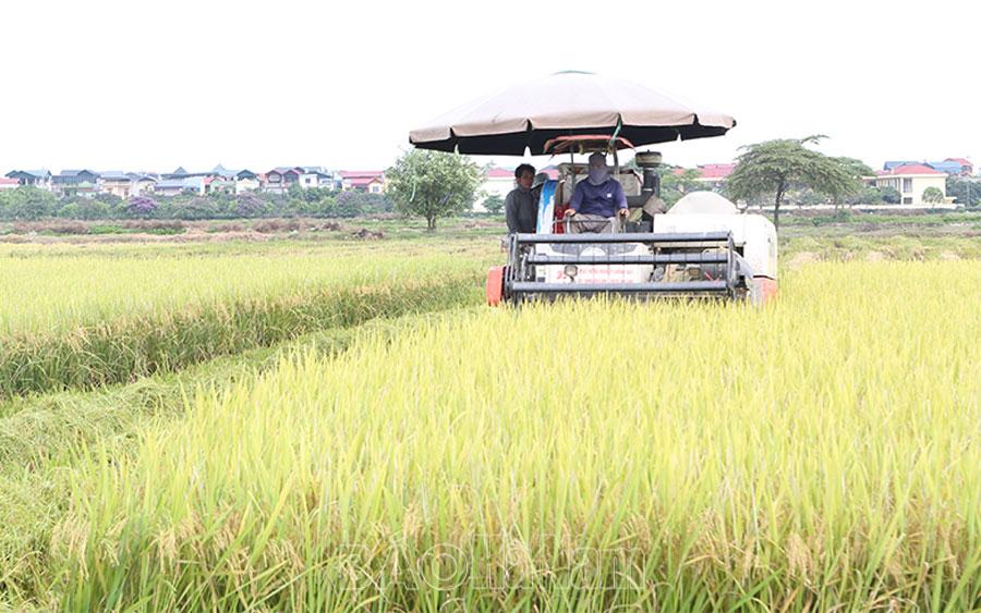 Vai trò của HTXDVNN trong thực hiện cơ giới hóa trên đồng ruộng
