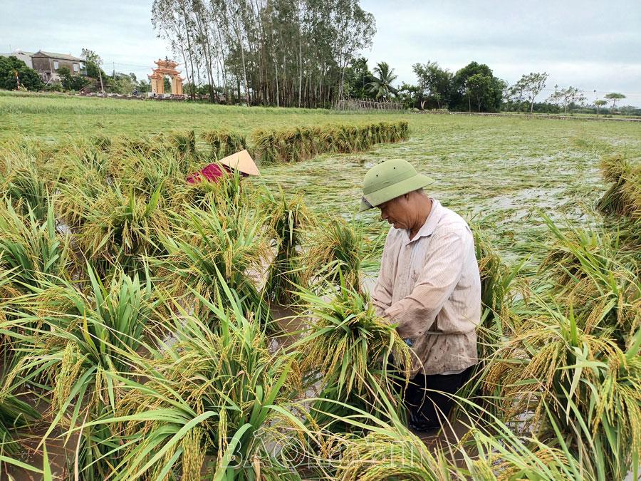 Hội CCB xã Đức Lý tích cực tham gia khắc phục hậu quả cơn bão số 3