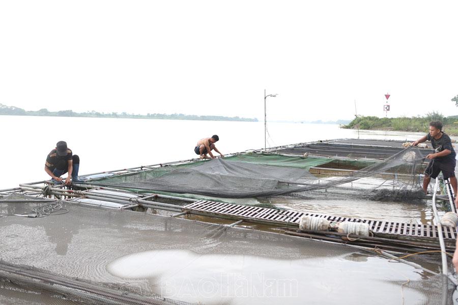 Lũ sông Hồng vượt mức báo động II