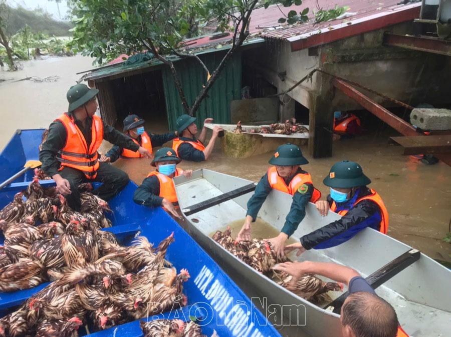 LLVT thị xã Duy Tiên dầm mình trong mưa, lũ ứng cứu nhân dân