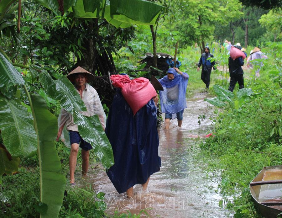 Xã Liên Sơn tập trung khắc phục sự cố vỡ đê bối Xì Dầu