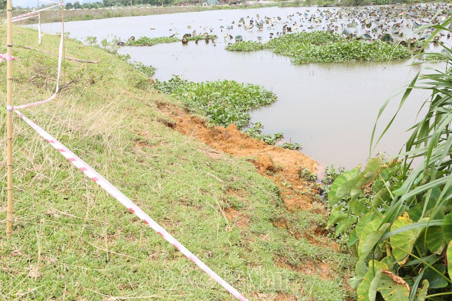 Xuất hiện 2 điểm sạt lở trên đê tả Đáy