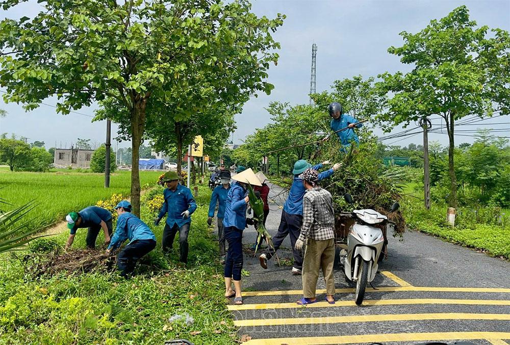 Trồng cây xanh tạo cảnh quan, bảo vệ môi trường nông thôn