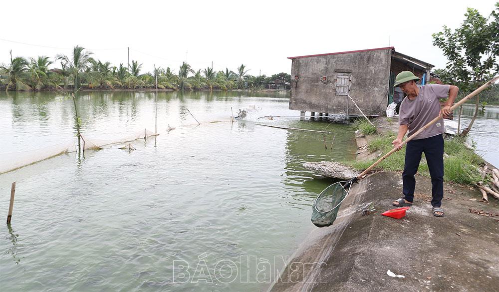 Chân Lý tập trung hoàn thành tiêu chí thu nhập trong xây dựng NTM nâng cao