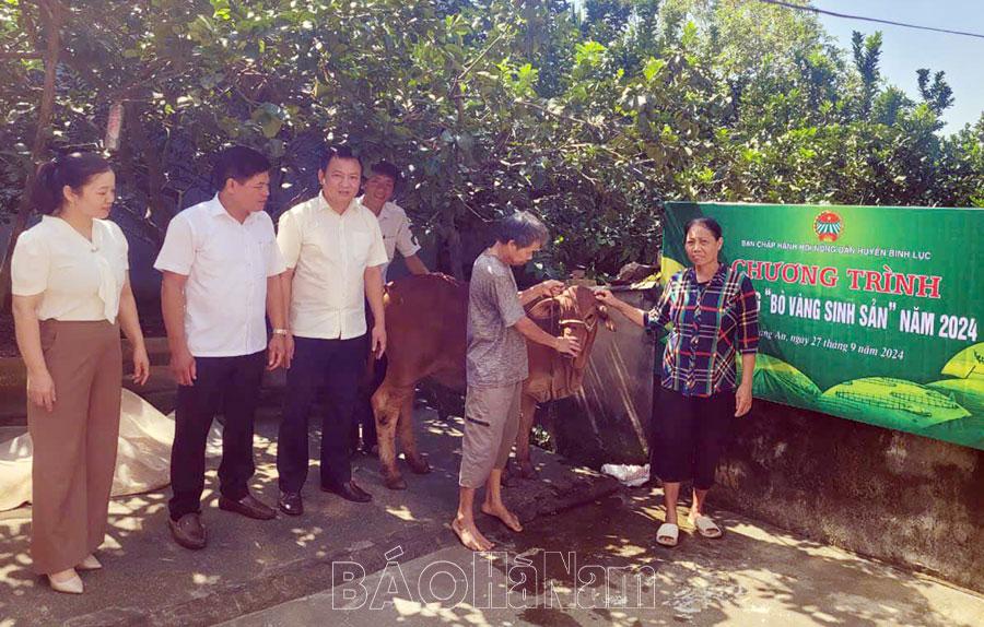 Hội Nông dân huyện Bình Lục trao bò vàng sinh sản cho hội viên nghèo