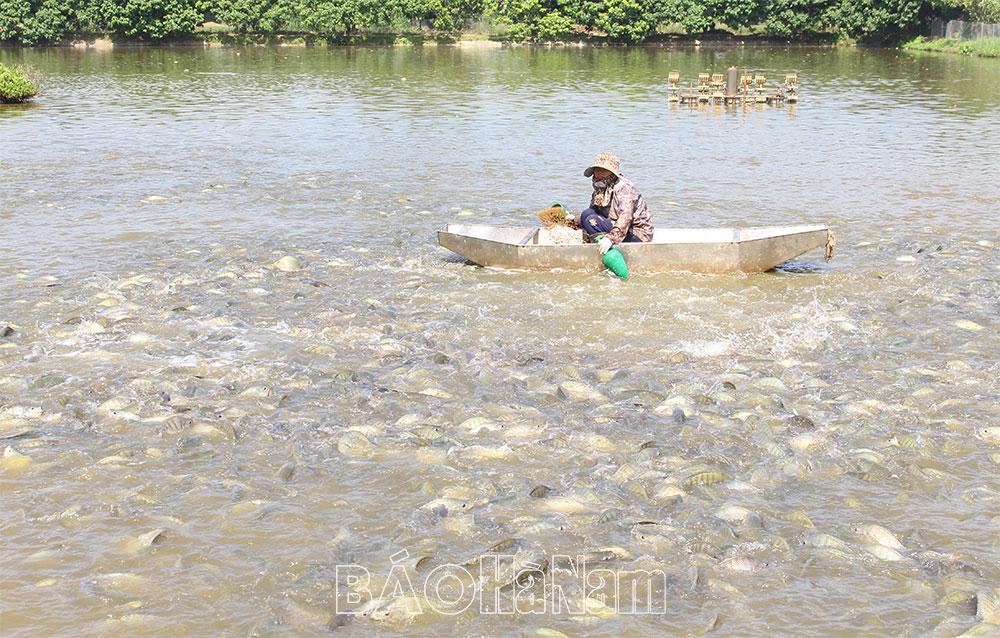 Tượng Lĩnh phát triển mô hình tổ hợp tác nuôi trồng thủy sản