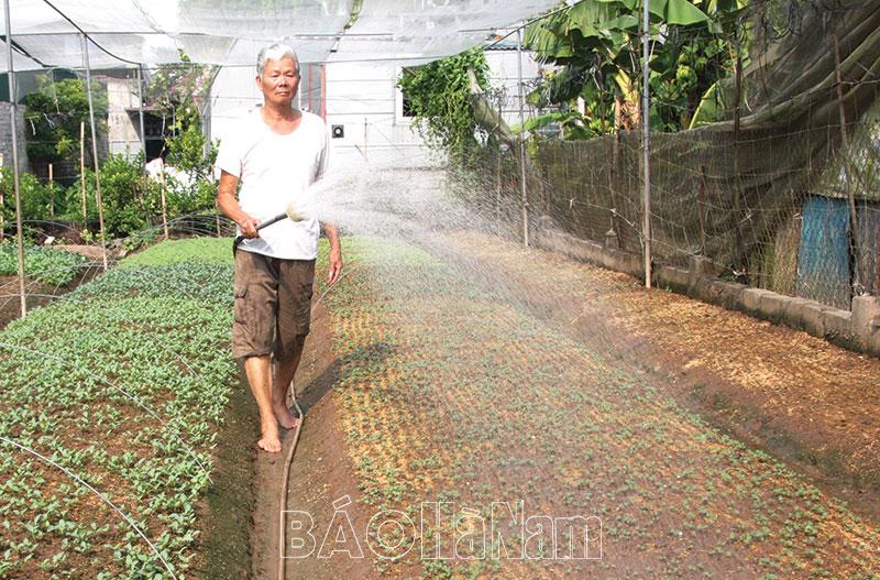 Một chi hội trưởng cựu chiến binh nhiệt tình với công tác hội