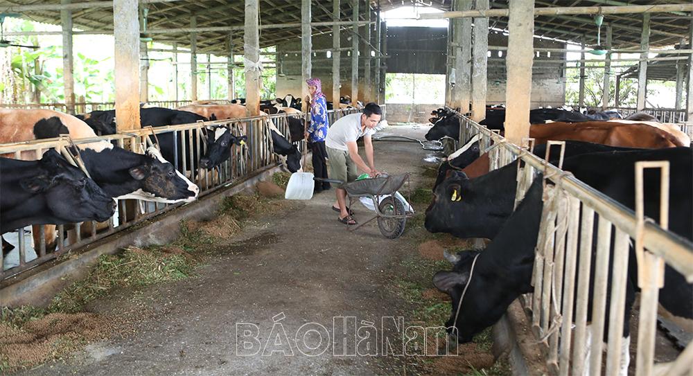 Phát huy vai trò HTXDVNN trong phát triển nông nghiệp ở Duy Tiên