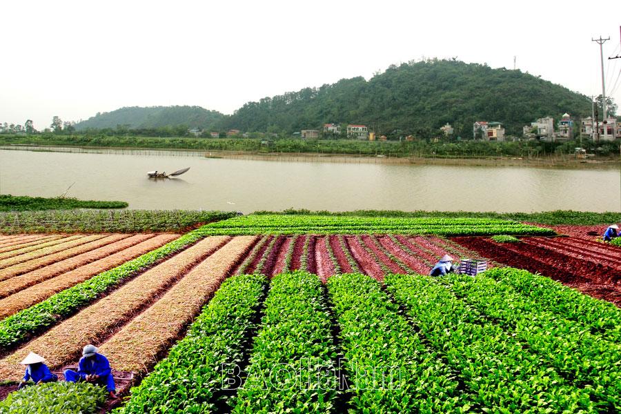 Tự hào vùng đất Duy Tiên