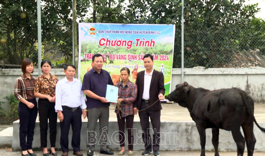 Hội Nông dân Bình Lục trao bò vàng sinh sản cho hội viên nghèo