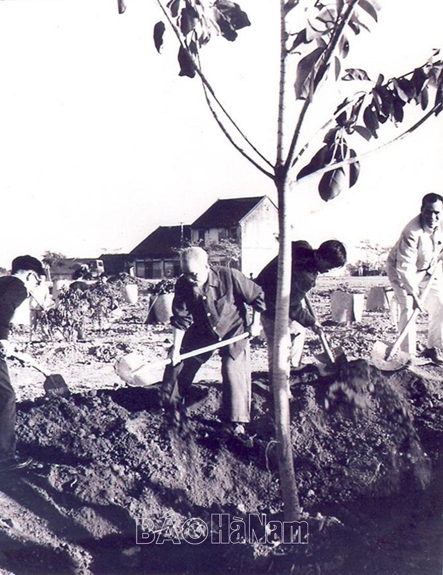 “Trông cây lại nhớ đến Người…”