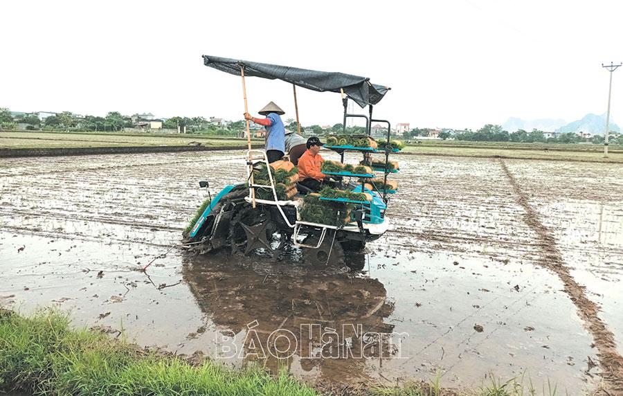 Tiếp tục mở rộng diện tích cấy máy