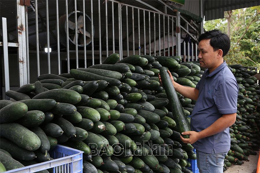 Đẩy mạnh liên kết sản xuất và tiêu thụ nông sản