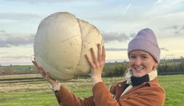 Cô gái phát hiện cây nấm khổng lồ nặng gần 5kg, ăn mãi mới hết