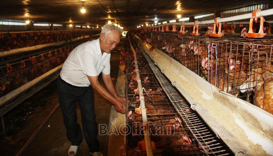 Phong trào thi đua CCB gương mẫu ở Yên Nam