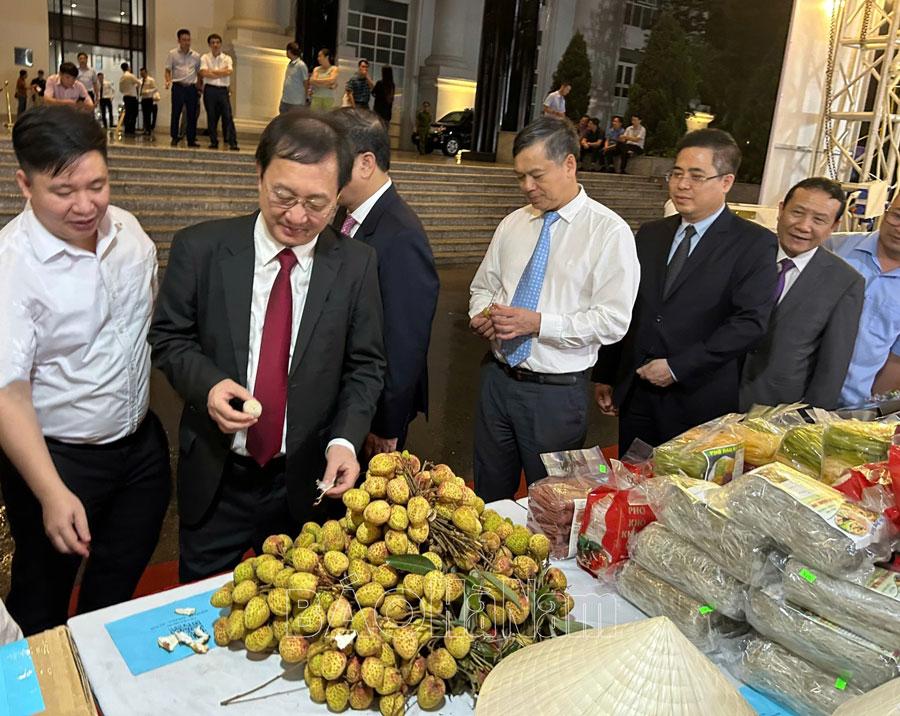 Nhãn hiệu chứng nhận Vải lai U trứng Kim Bảng – thương hiệu để phát triển