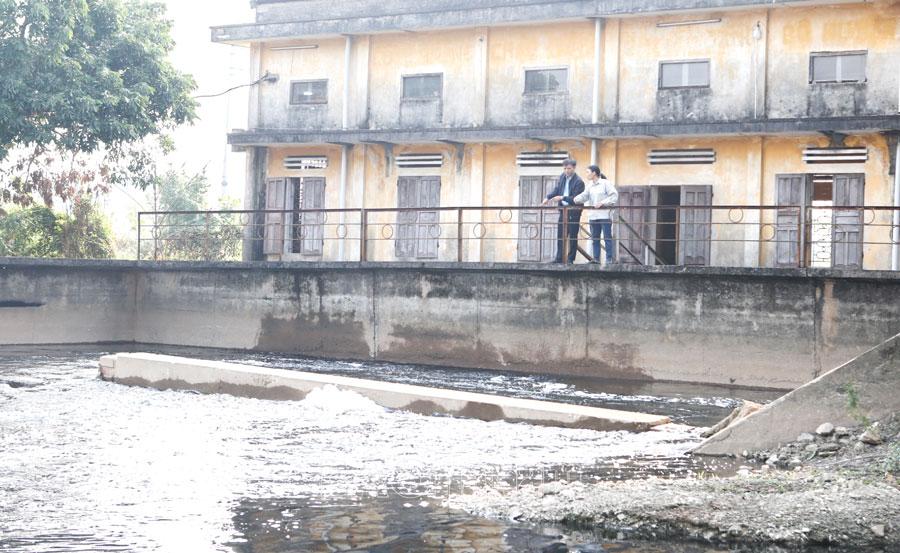 Chủ động lấy nước đổ ải gieo cấy lúa xuân