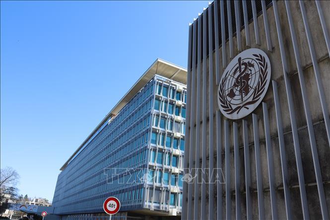 WHO đứng trước sức ép tái cơ cấu hoạt động