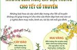 Những loài hoa, cây đặc trưng cho Tết cổ truyền