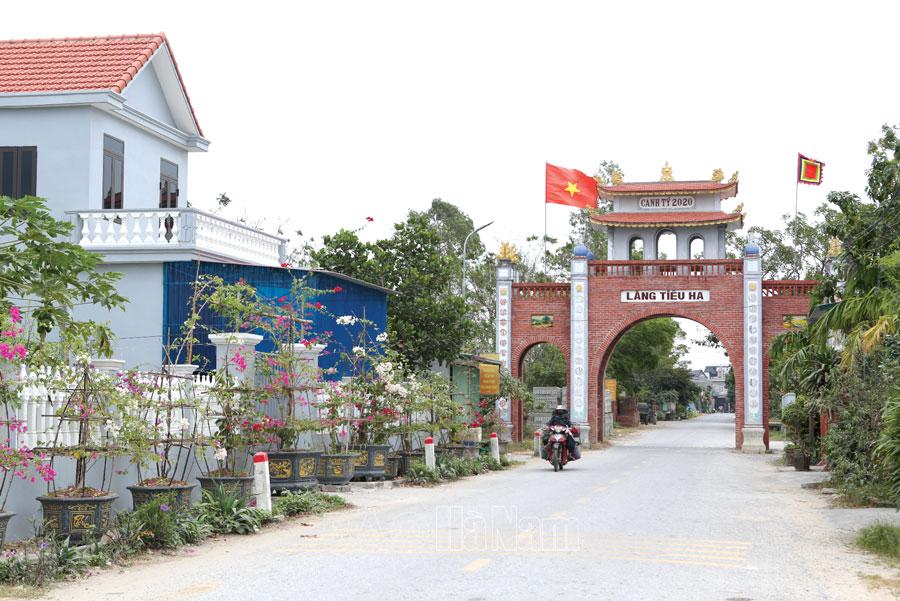 Xây dựng xã NTM nâng cao, kiểu mẫu “vượt đích”