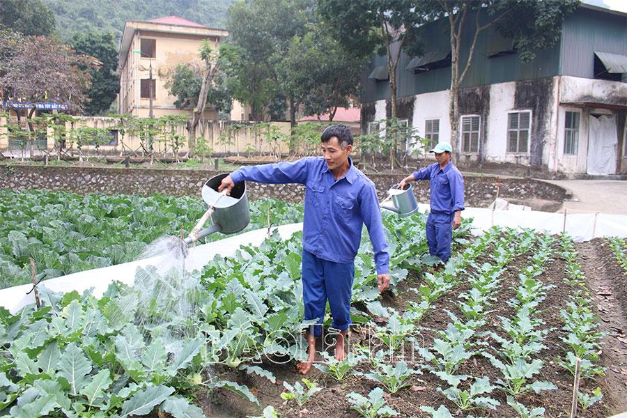 Nâng cao hiệu quả công tác cai nghiện ma tuý