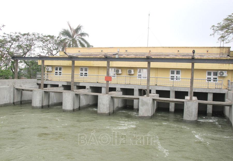 Chủ động bơm, điều tiết nước tưới dưỡng lúa xuân