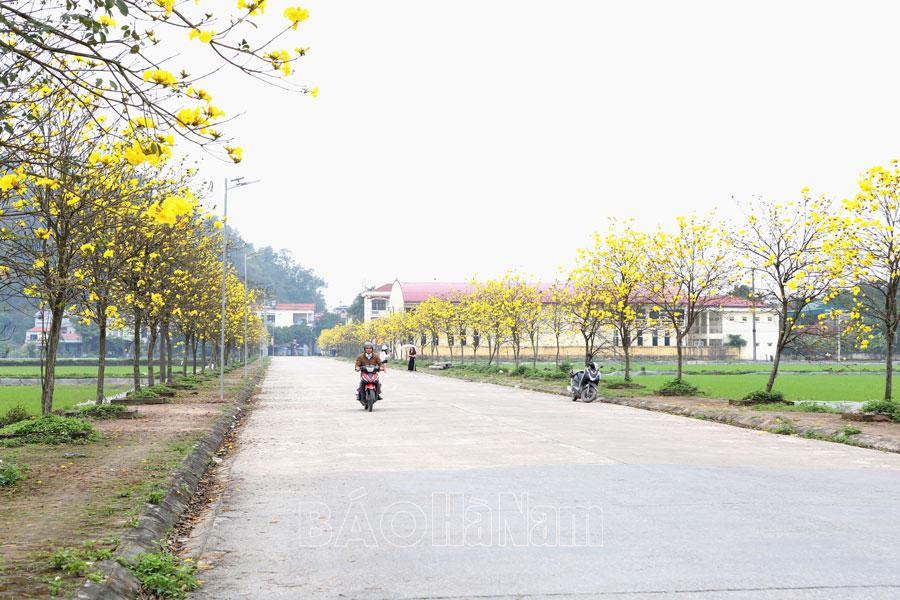 Hoàn thành mục tiêu trồng 5 triệu cây xanh