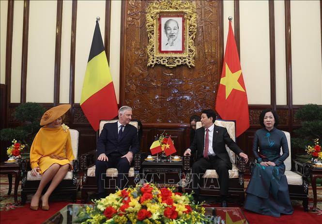 Chủ tịch nước Lương Cường và Nhà Vua Bỉ Philippe hội kiến