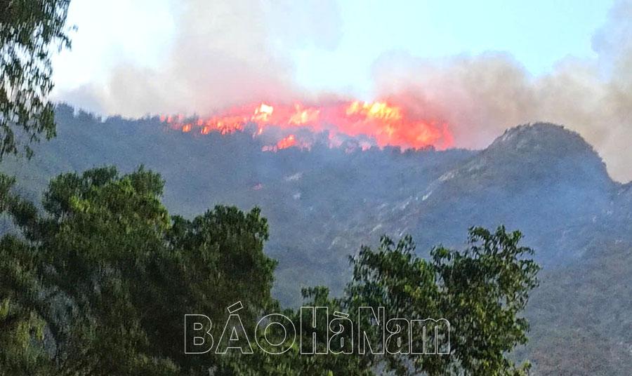 Nhiều lực lượng xuyên đêm dập tắt vụ cháy rừng tại phường Ba Sao