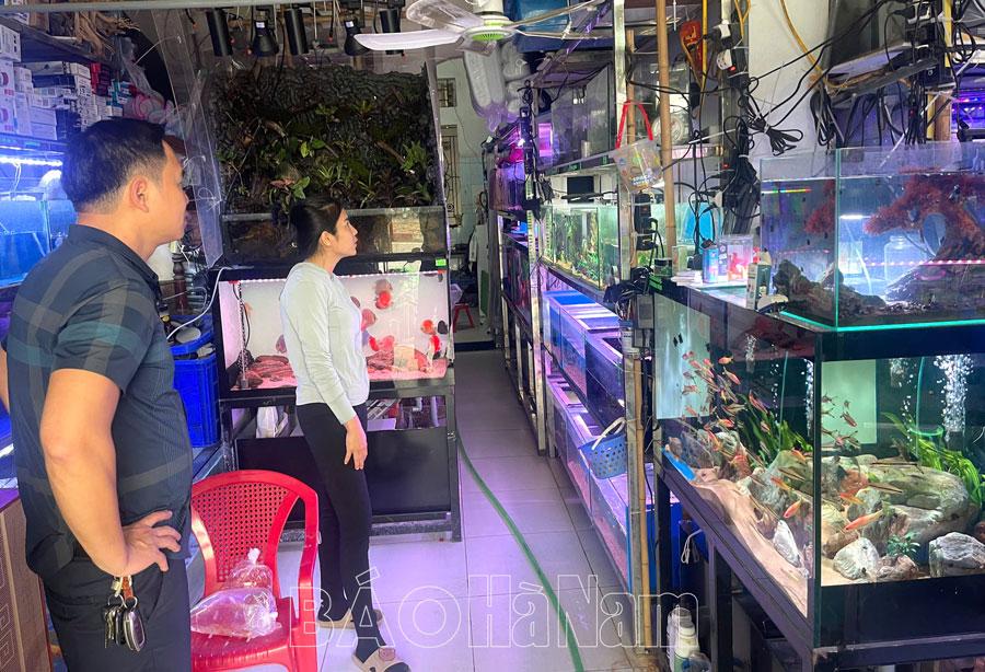 Độc đáo thú chơi bể thủy sinh