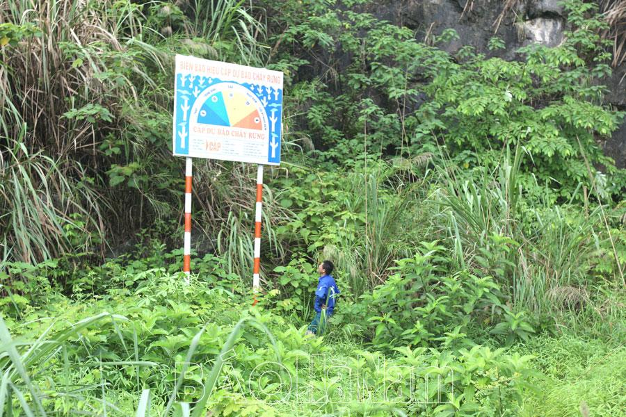 Chủ động phòng, chống cháy rừng