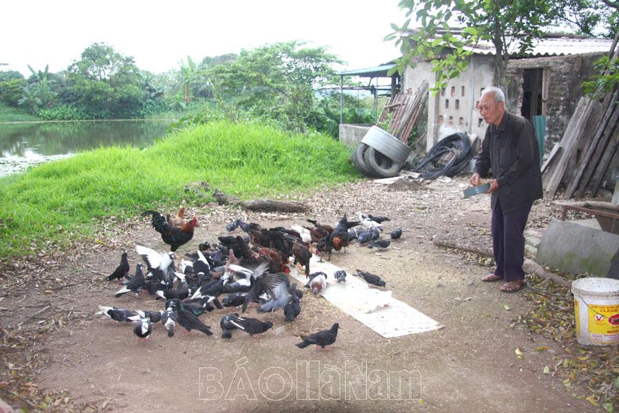 Quan tâm hỗ trợ nạn nhân chất độc da cam/dioxin ổn định cuộc sống