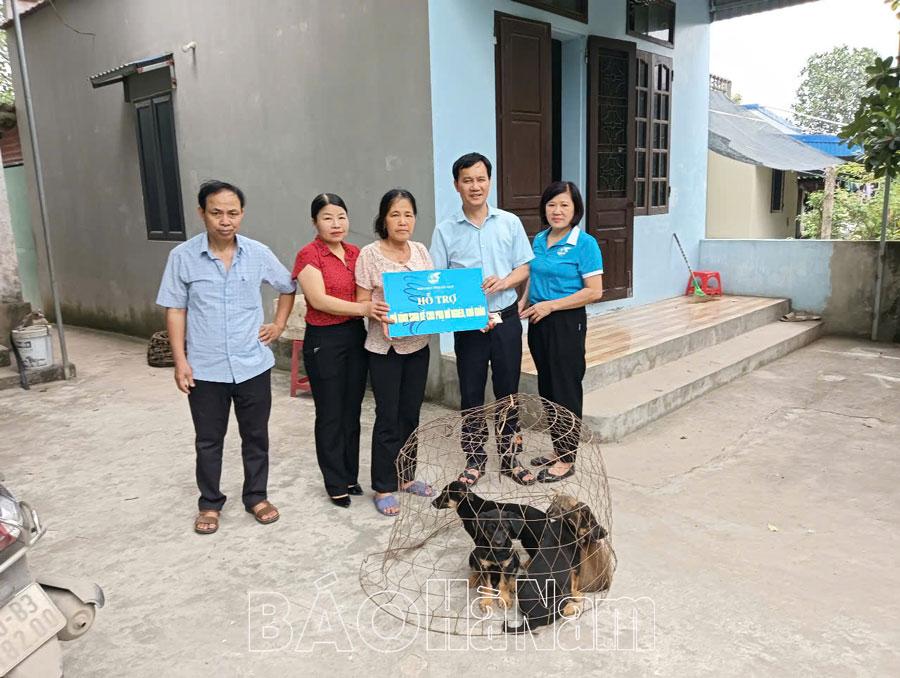 Trao sinh kế cho phụ nữ yếu thế có hoàn cảnh khó khăn phát triển kinh tế