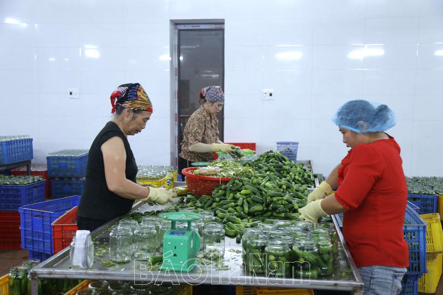 Chân Lý phát triển cây trồng hàng hóa