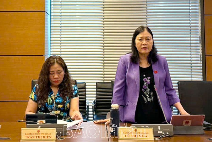 Đoàn đại biểu Quốc hội Hà Nam thảo luận về tình hình phát triển kinh tế - xã hội