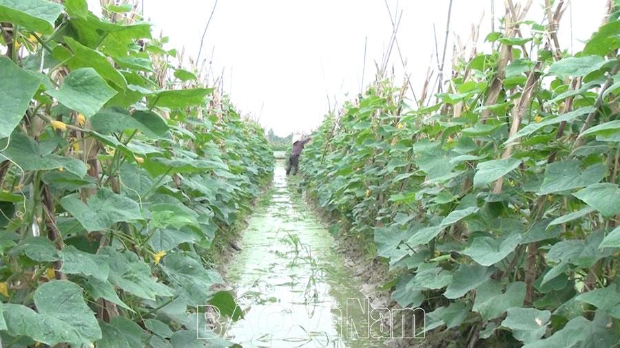 Lan tỏa các mô hình “Dân vận khéo” gắn với nhiệm vụ chính trị ở Đồng Hóa