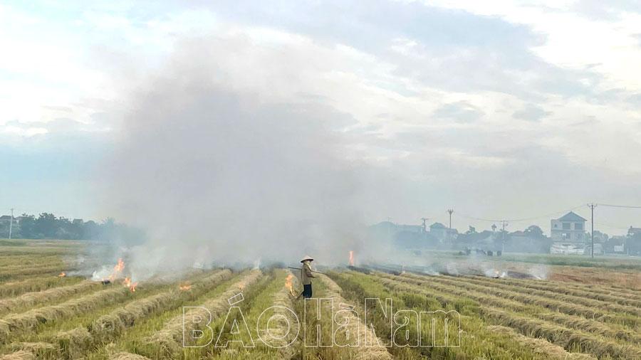 Khói đốt rơm rạ mù mịt cánh đồng xã Nhân Mỹ