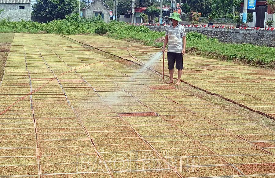 Chuẩn bị các điều kiện sản xuất vụ mùa