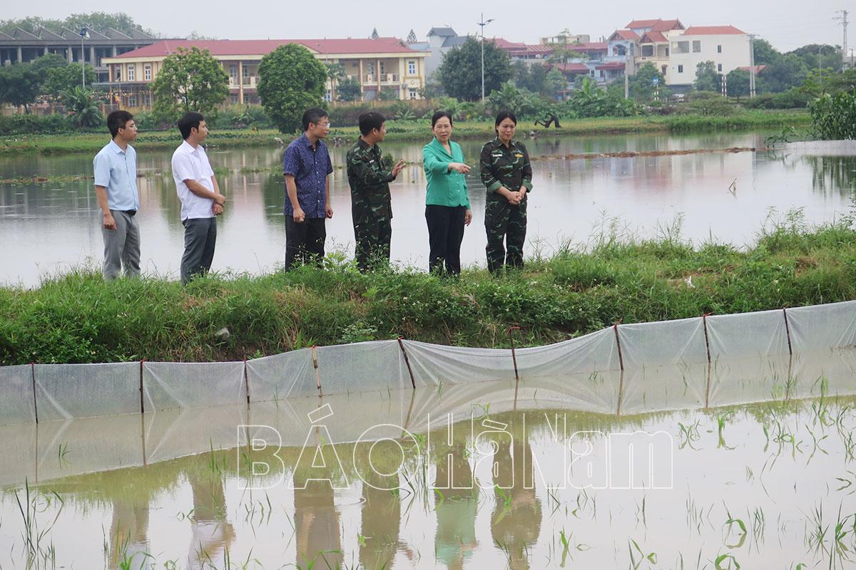 Đồng chí Bí thư Tỉnh ủy Lê Thị Thủy kiểm tra tình hình úng ngập tại huyện Kim Bảng