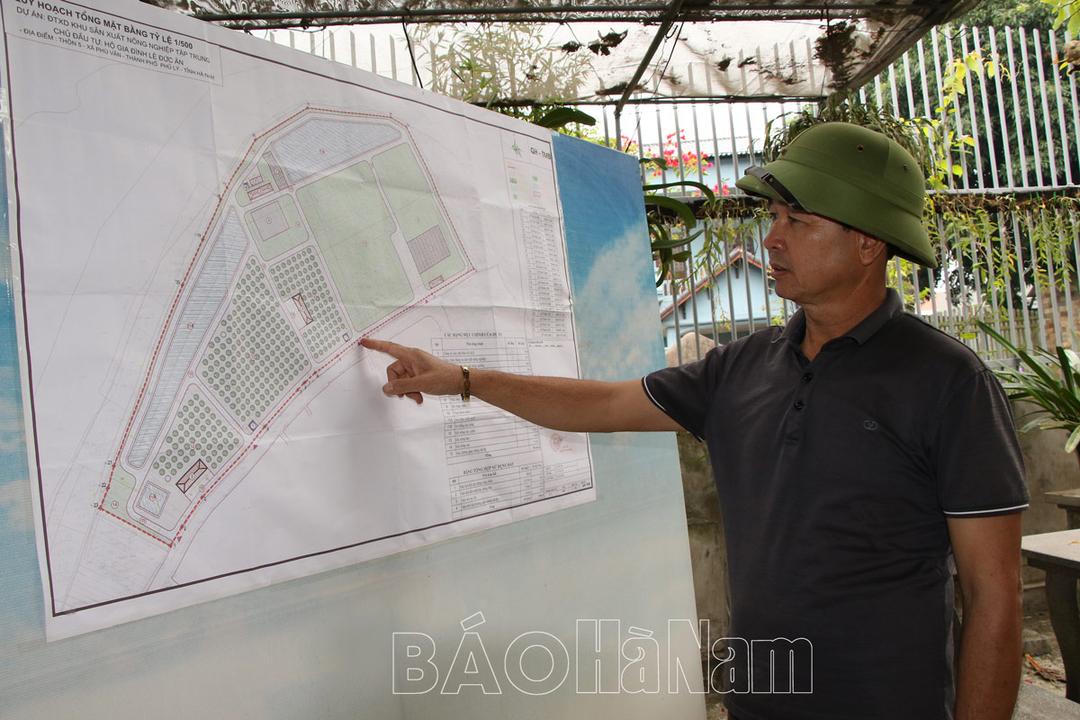 Nông dân chuyên nghiệp trên đất Phù Vân