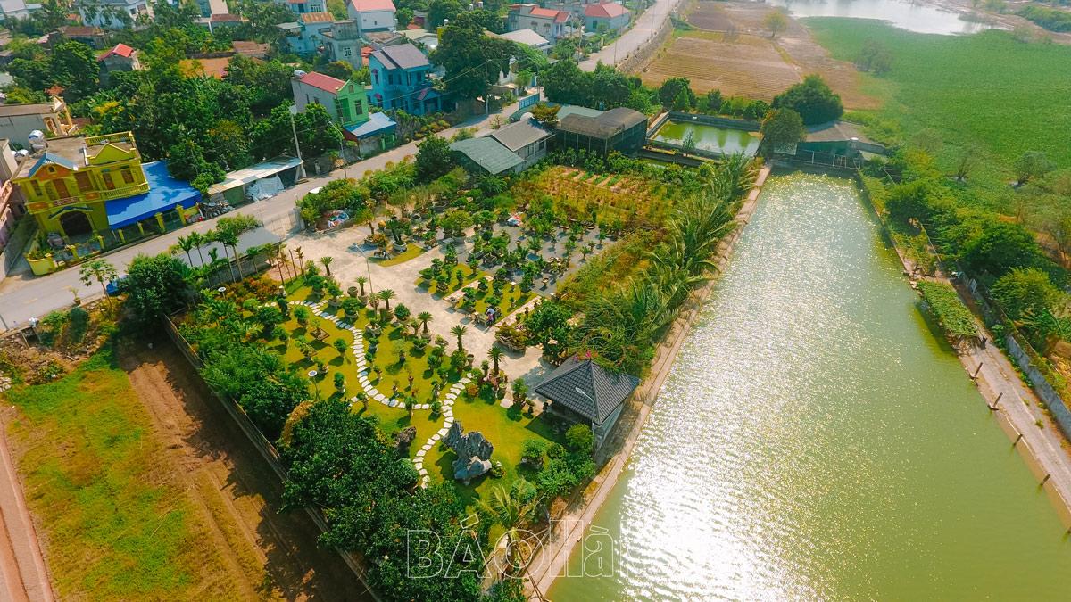 Nông dân chuyên nghiệp trên đất Phù Vân - Kỳ 3: Hiện thực hóa ước mơ