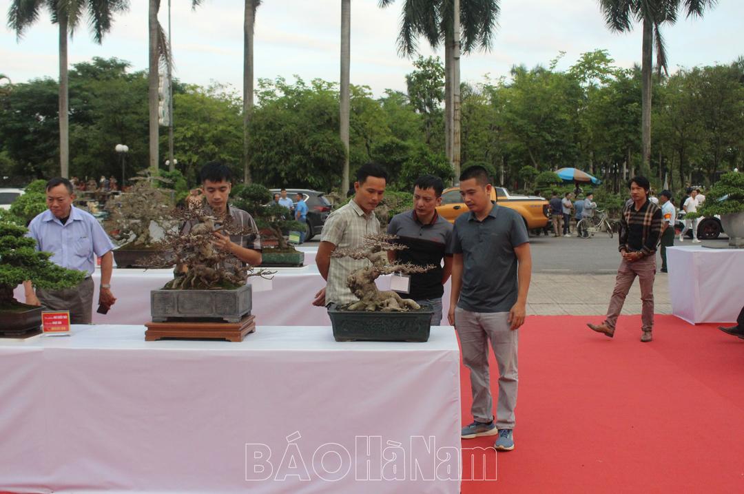 Triển lãm Sinh vật cảnh tỉnh Hà Nam lần thứ IV