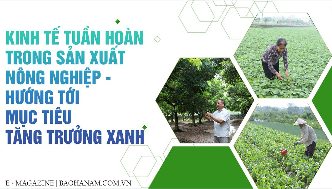 Kinh tế tuần hoàn trong sản xuất nông nghiệp – Hướng tới mục tiêu tăng trưởng xanh