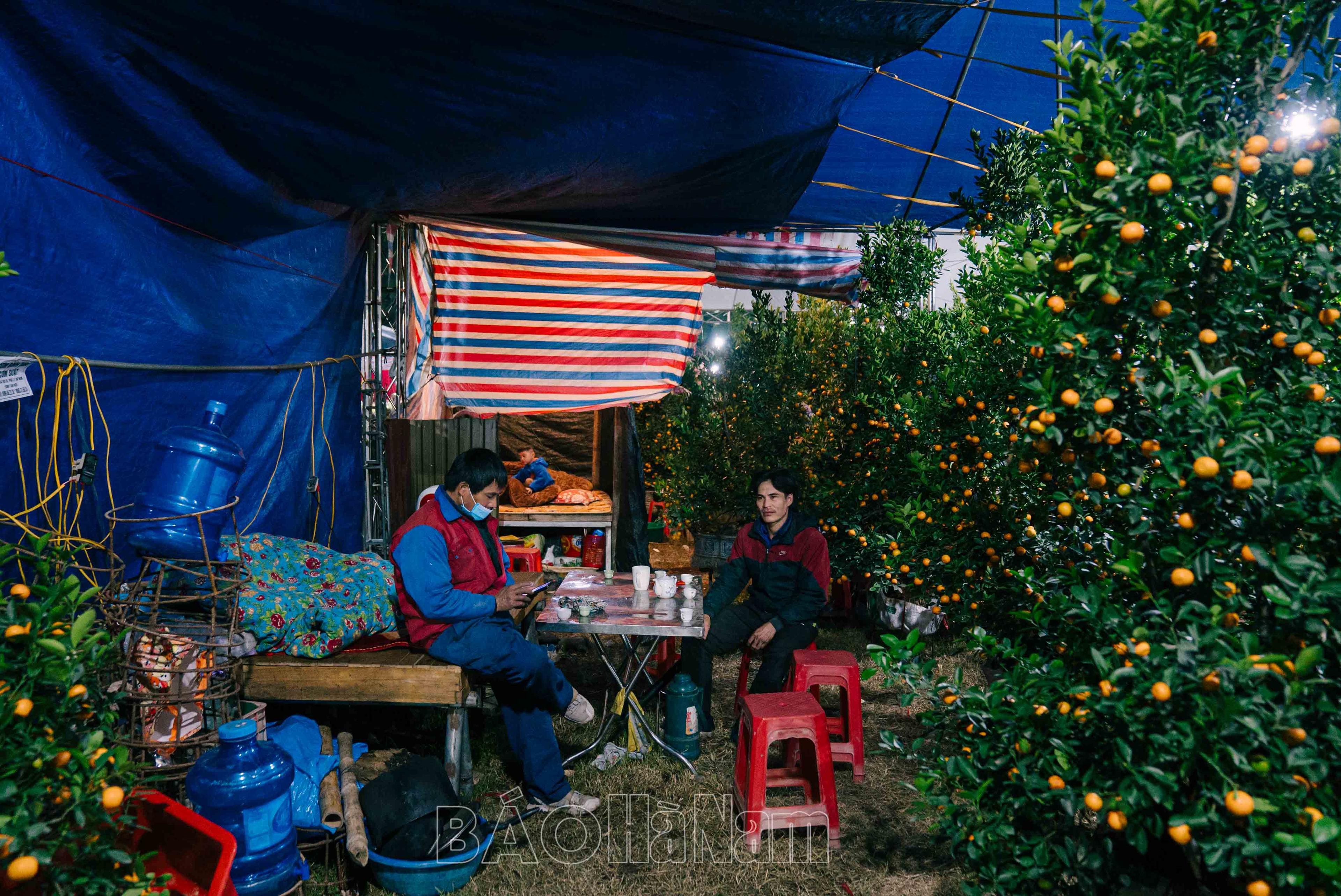 Tiểu thương xuyên đêm trông đào, quất Tết trong thời tiết buốt lạnh