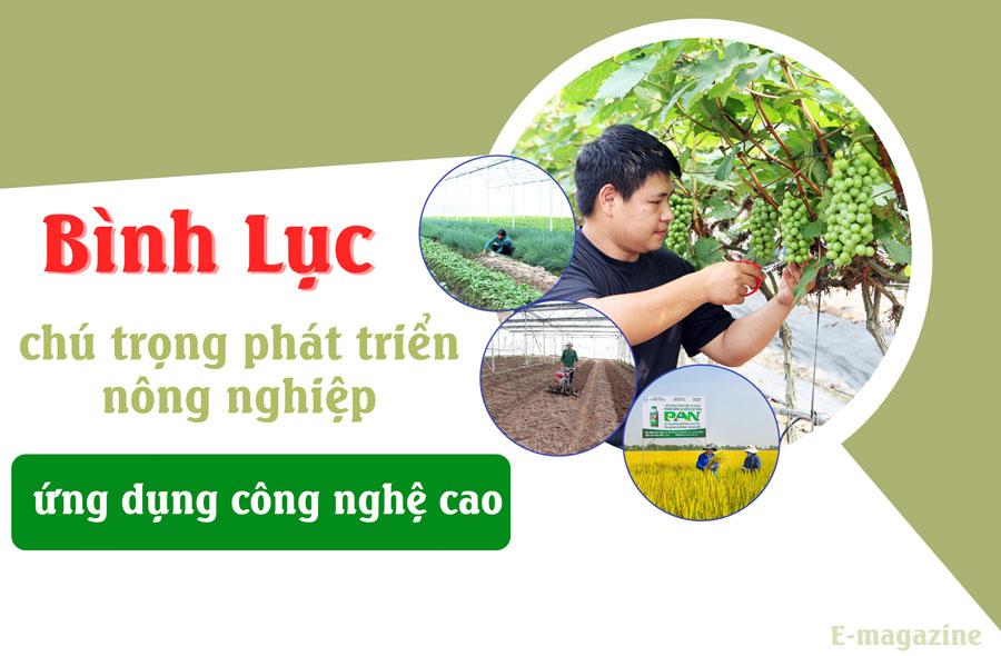 Bình Lục chú trọng phát triển nông nghiệp ứng dụng công nghệ cao