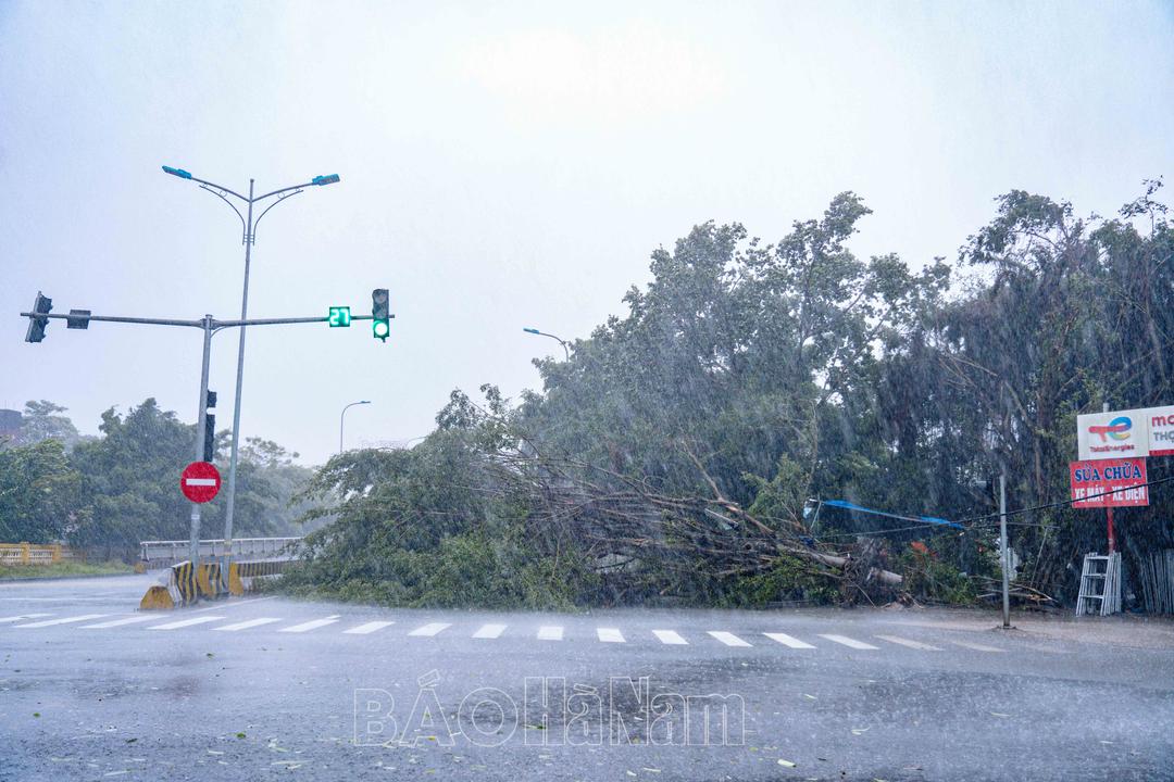Bão Yagi đổ bộ vào đất liền, Hà Nam có những thiệt hại ban đầu