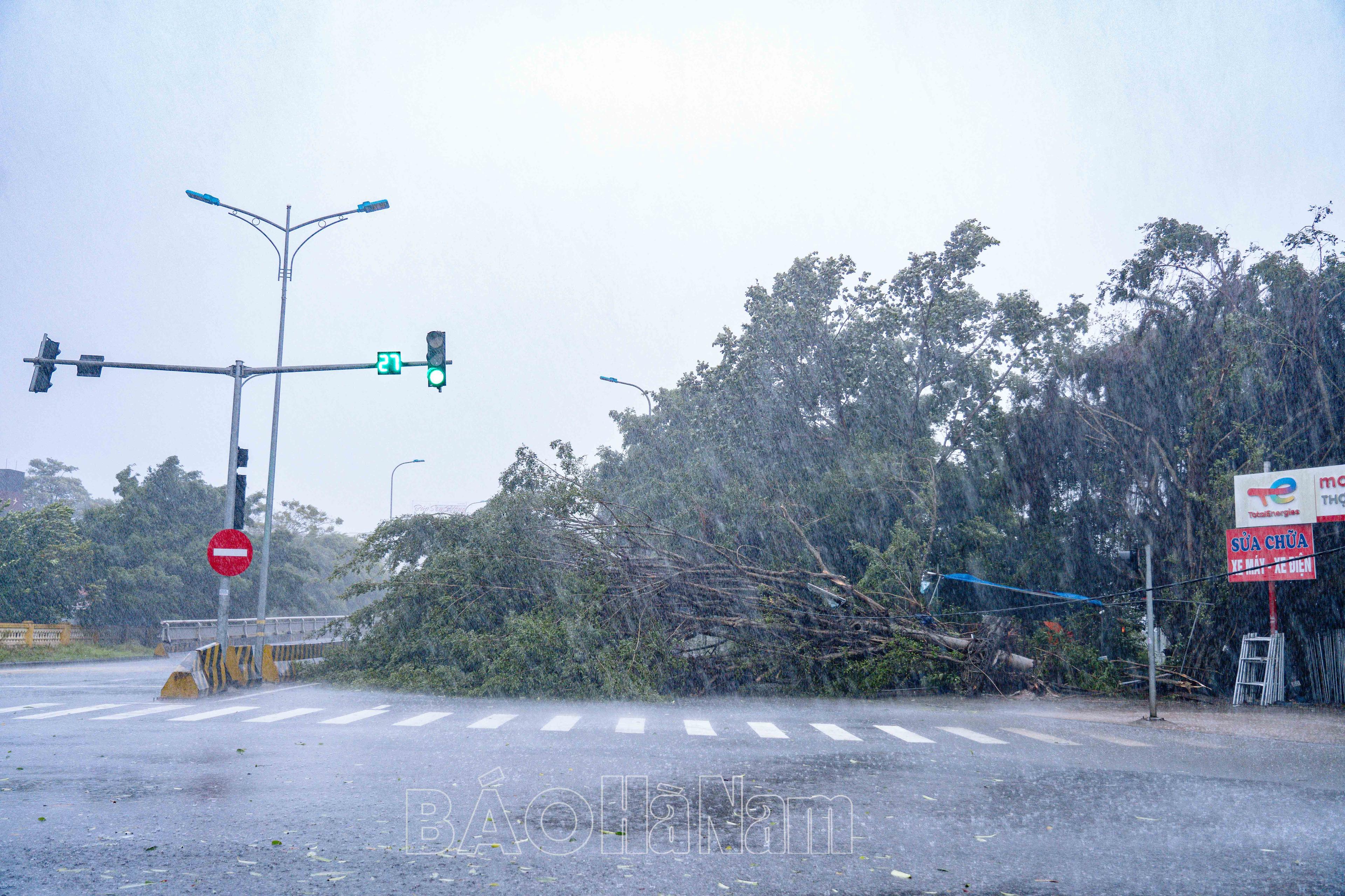 Bão Yagi đổ bộ vào đất liền, Hà Nam có những thiệt hại ban đầu