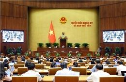 Quốc hội thảo luận các dự thảo Luật Bảo hiểm y tế (sửa đổi), Luật Công đoàn (sửa đổi)